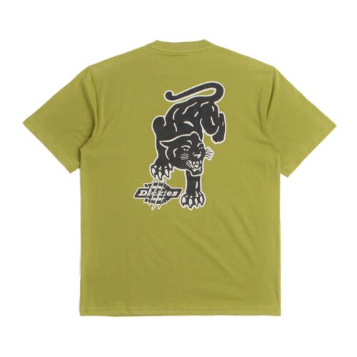 DICKIES GRAYSVILLE TEE DK0A87QQL20