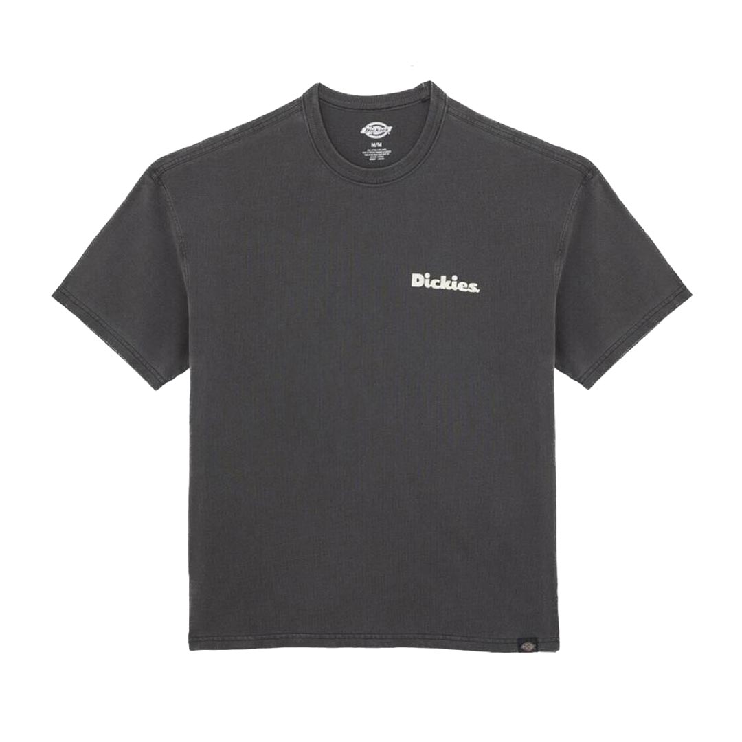 DICKIES SLAYDEN GD TEE SS DK0A87QRBLK