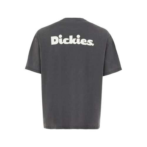 DICKIES SLAYDEN GD TEE SS DK0A87QRBLK