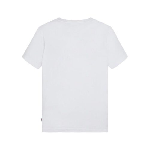 DICKIES MAPLETON TEE DK0KSR640WH