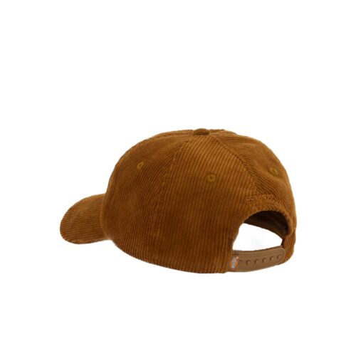 DICKIES HARDWICK CAP DK0A4ZAY0BD