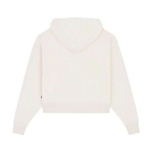 DICKIES OAKPORT ZIP HOODIE DK0A4Y1ZECR