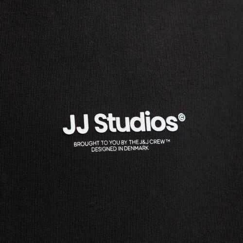 JACK&JONES JJESOHO SWEAT HOOD NOOS 12279109