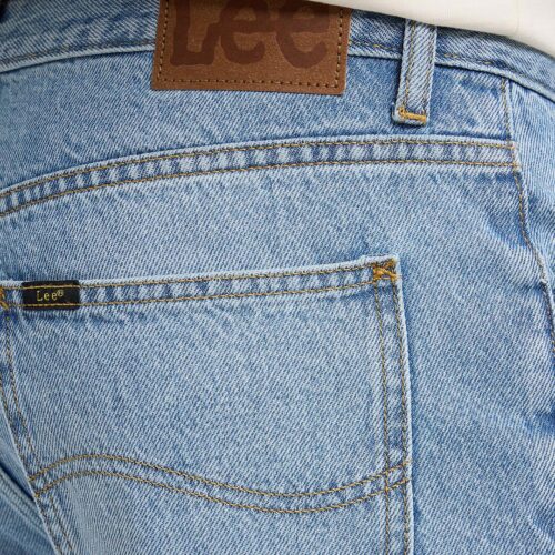 LEE HADEN REALITY CHECK 112370677