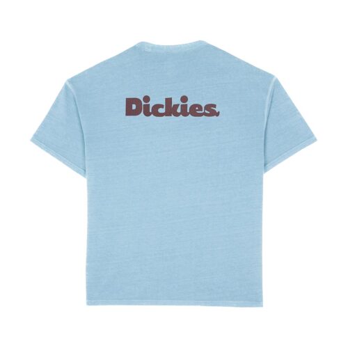 DICKIES SLAYDEN GD SHORTSLEEVE TEE DK0A87QRK66