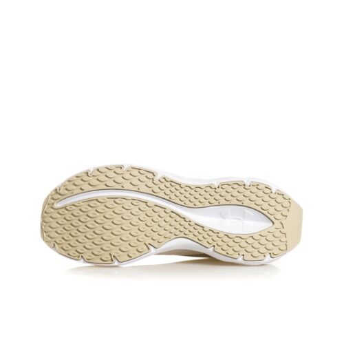 UNDER ARMOUR UA W ASCEND 6009828.110