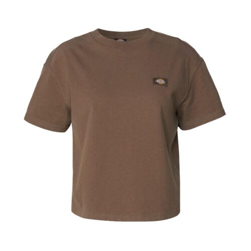 DICKIES OAKPORT BOXY SS TEE DK0A4Y8L0TB