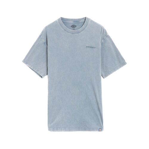 DICKIES PLENTYWOOD SS TEE DK0A866BL39