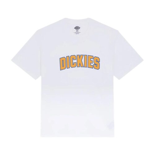 DICKIES AITKIN SS TEE DK0A88GL0WH