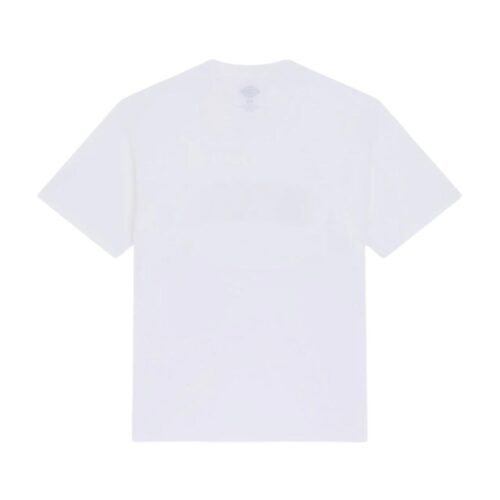DICKIES AITKIN SS TEE DK0A88GL0WH