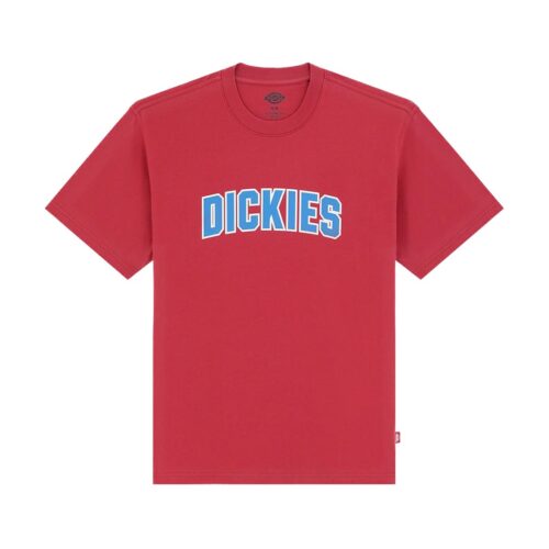 DICKIES AITKIN SS TEE DK0A88GLL33