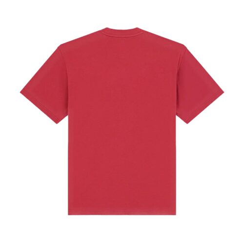 DICKIES AITKIN SS TEE DK0A88GLL33