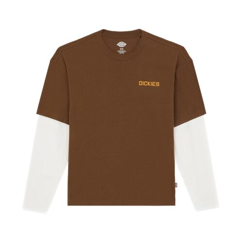 DICKIES PAYSON 2FER TEE DK0A88JF0TB