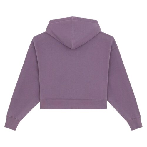 DICKIES OAKPORT ZIPPED HOODIE W VINTAGE DK0A4Y1ZL79