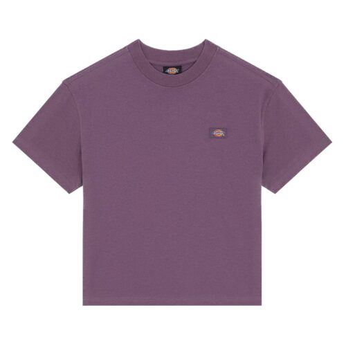 DICKIES OAKPORT BOXY SS TEE DK0A4Y8LL79