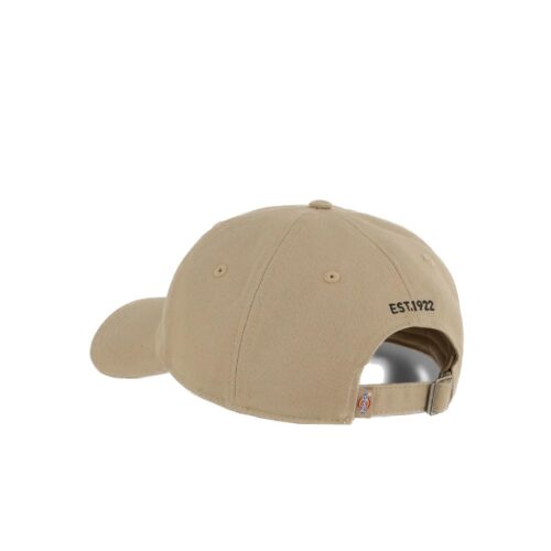 DICKIES ESSENTIAL DAD CAP DK0A4Z6N0DS