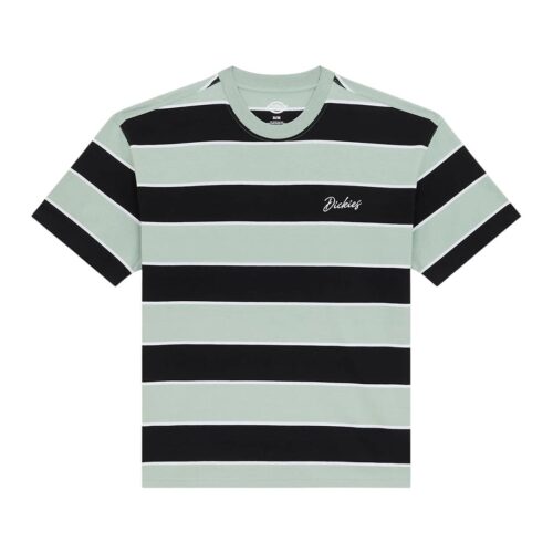 DICKIES EMBROIDERY STRIPE SS TE DK0A8CVPB87
