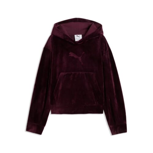 PUMA ESS ELEVATED VELOUR HOODIE 694853.24