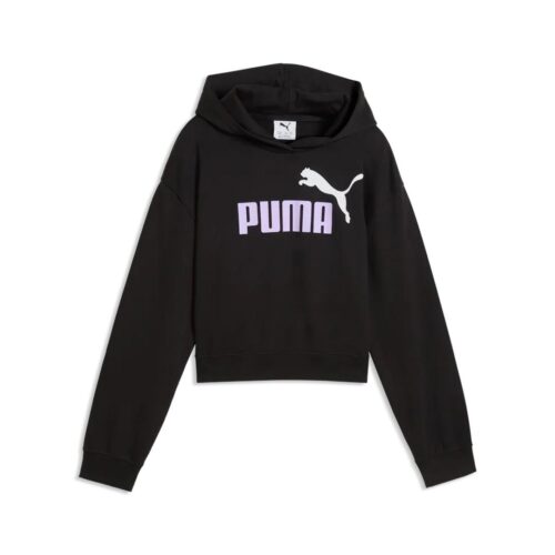 PUMA LOGO HOODIE 686072.55